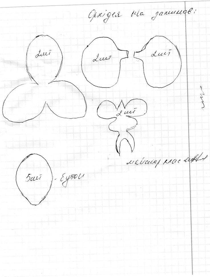 Мастер класс: орхидея "белая цапля" из фоамирана