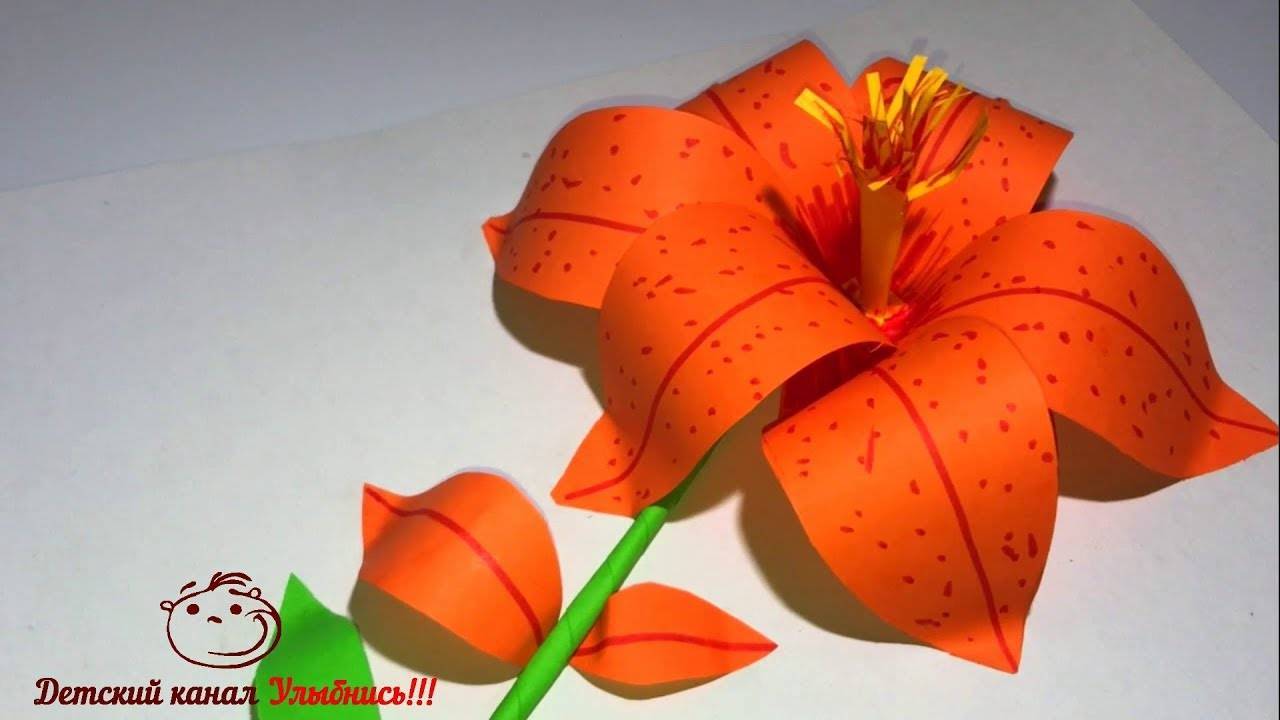 ᐉ как сделать объемную лилию из бумаги. оригами лилия: секрет создания очаровательного цветка ✅ igrad.su