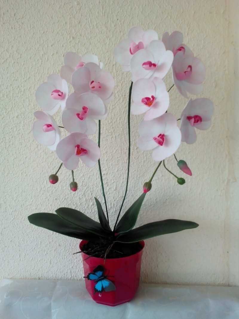 Мастер-класс по созданию орхидеи из фоамирана своими руками