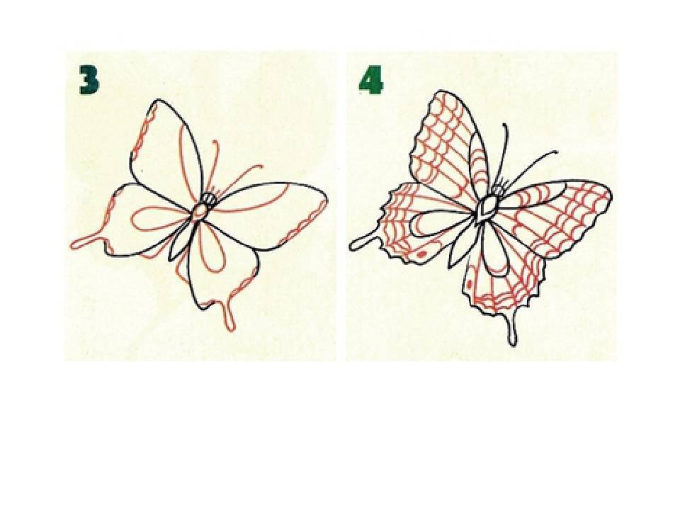 Как научиться рисовать бабочку