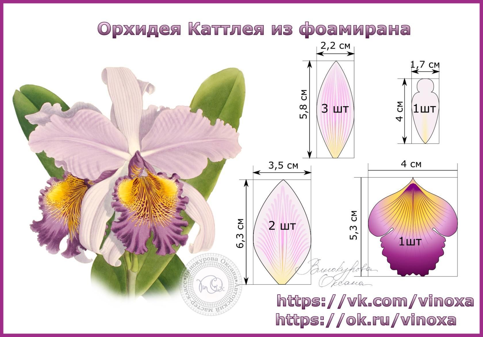 Орхидеи из фоамирана: выкройки и мастер класс своими руками