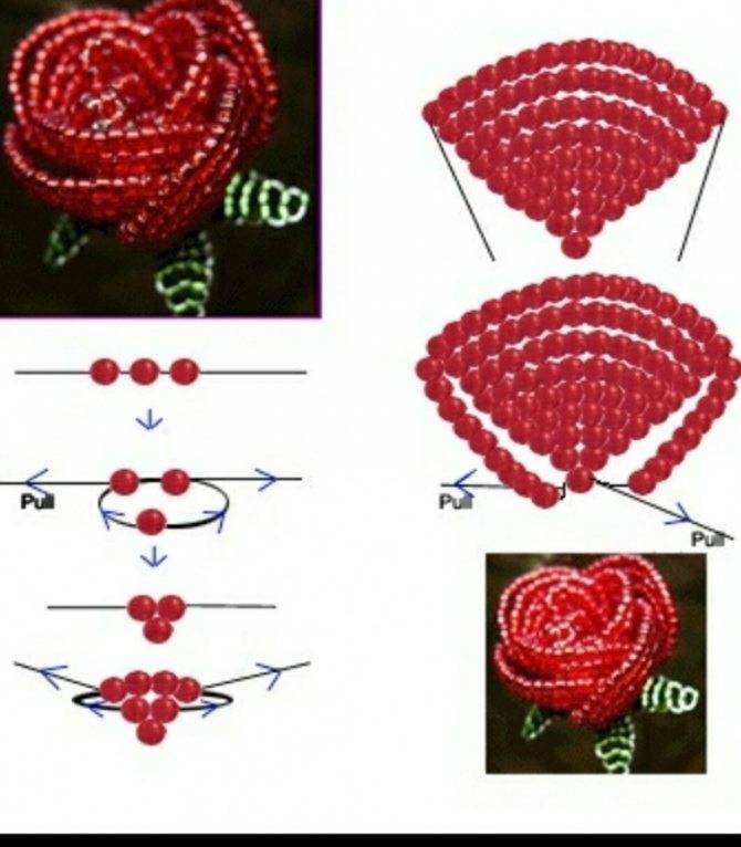 Схема розы из бисера: видео МК по плетению своими руками