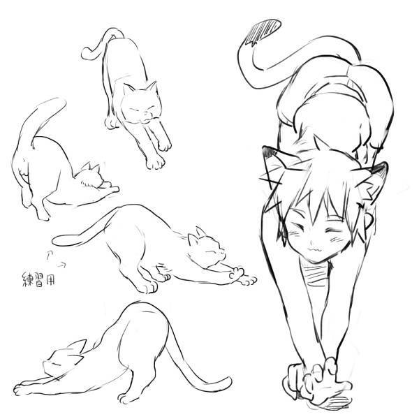 Как нарисовать аниме девушку кошку | рисунок