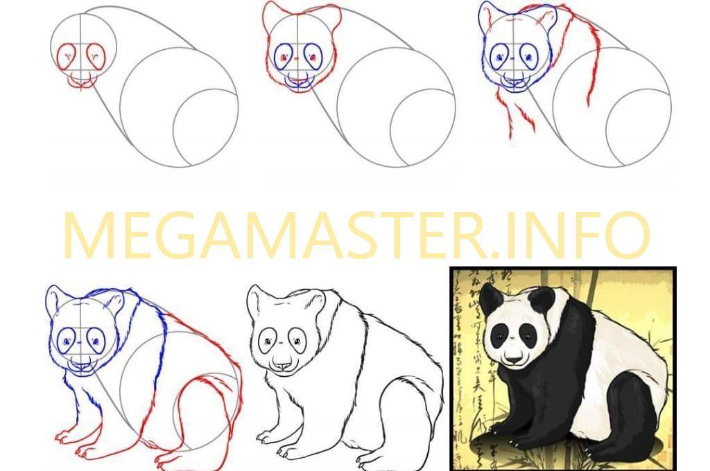 Как нарисовать животных поэтапно карандашом (48 фото) - легкие мастер-классы по рисованию животных