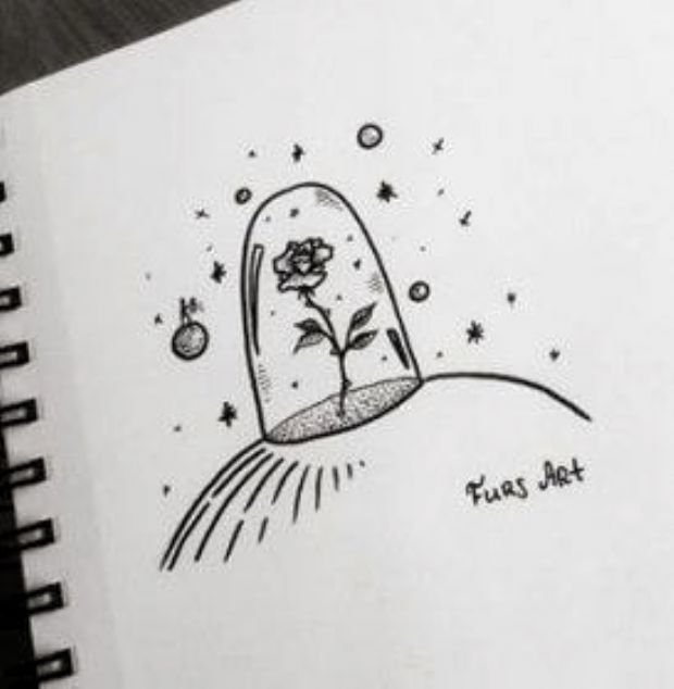 Рисунки ручкой для начинающих легкие, красивые, прикольные.