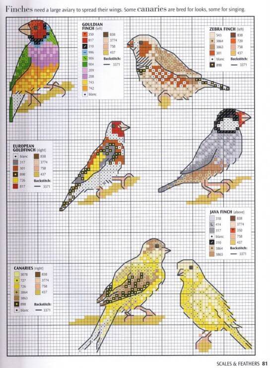 разные птицы в схемах для вышивки крестом