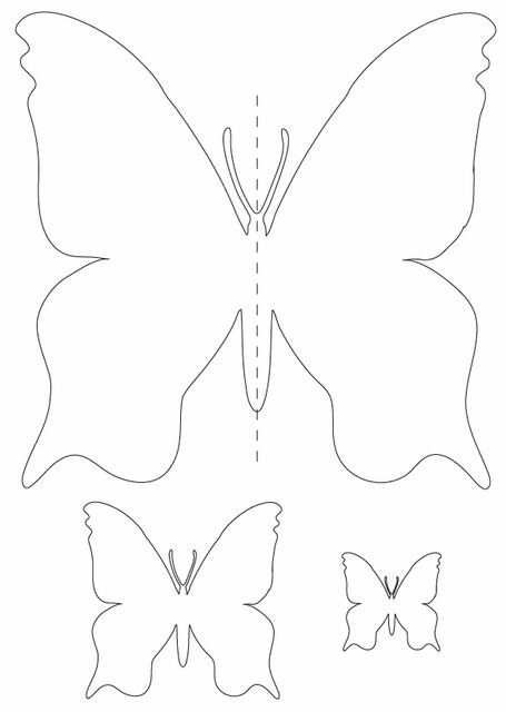 Как сделать бабочку, красивые и простые схемы для новичков