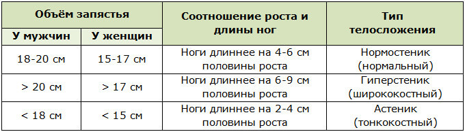 Как определить тип телосложения по запястью: способы и методы определения, показатели, особенности