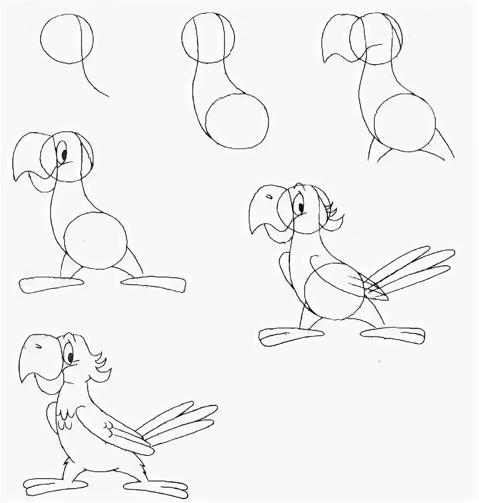 Уроки рисования простым карандашом для начинающих онлайн - курсы поэтапно для детей и взрослых