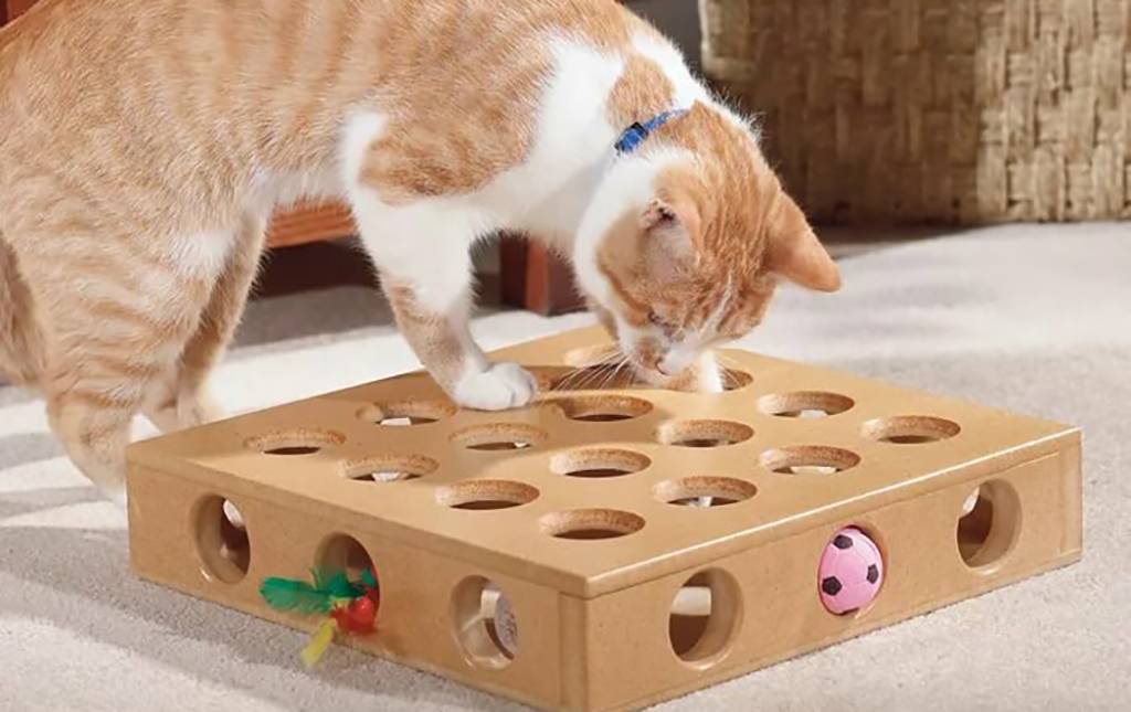 Игрушки для кошек и котят своими руками: как сделать, выкройки мягких мышей из ткани и не только, схемы интерактивных