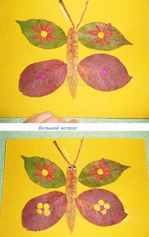 Урок технологии по теме "композиция из листьев. бабочка"1-й класс | план-конспект занятия по технологии (1 класс) на тему: