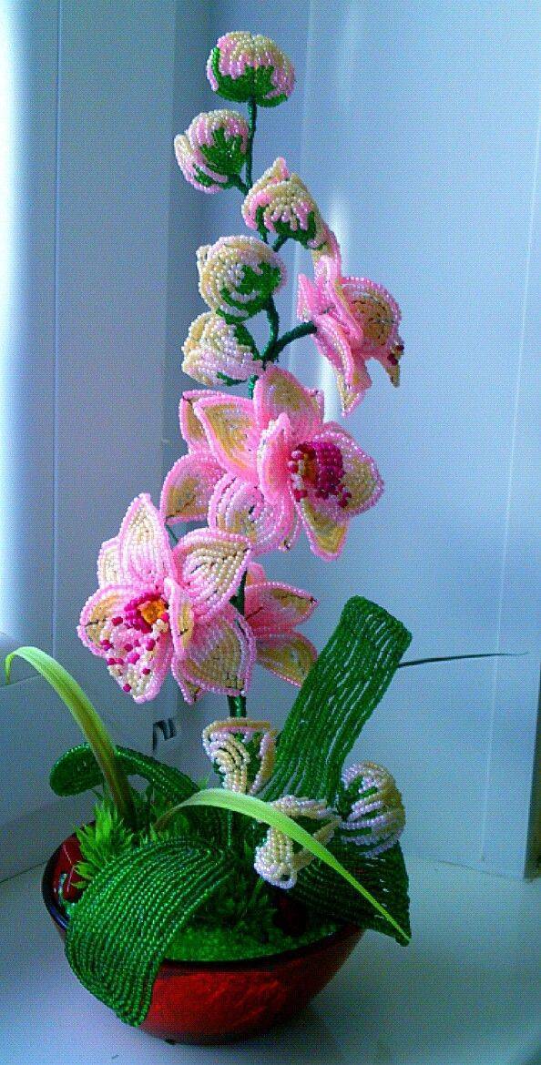 Орхидея из бисера: уроки плетения экзотического цветка