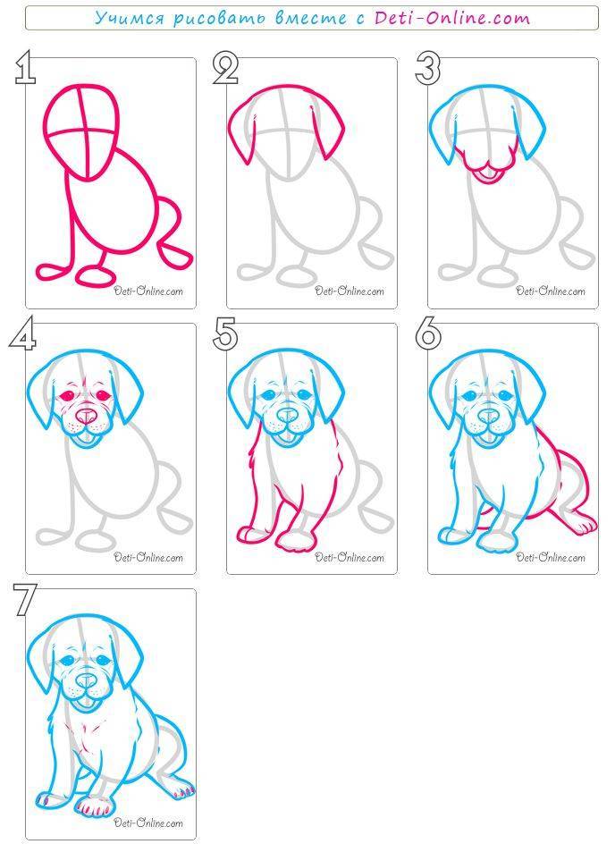 Как нарисовать собаку поэтапно карандашом - страница 1