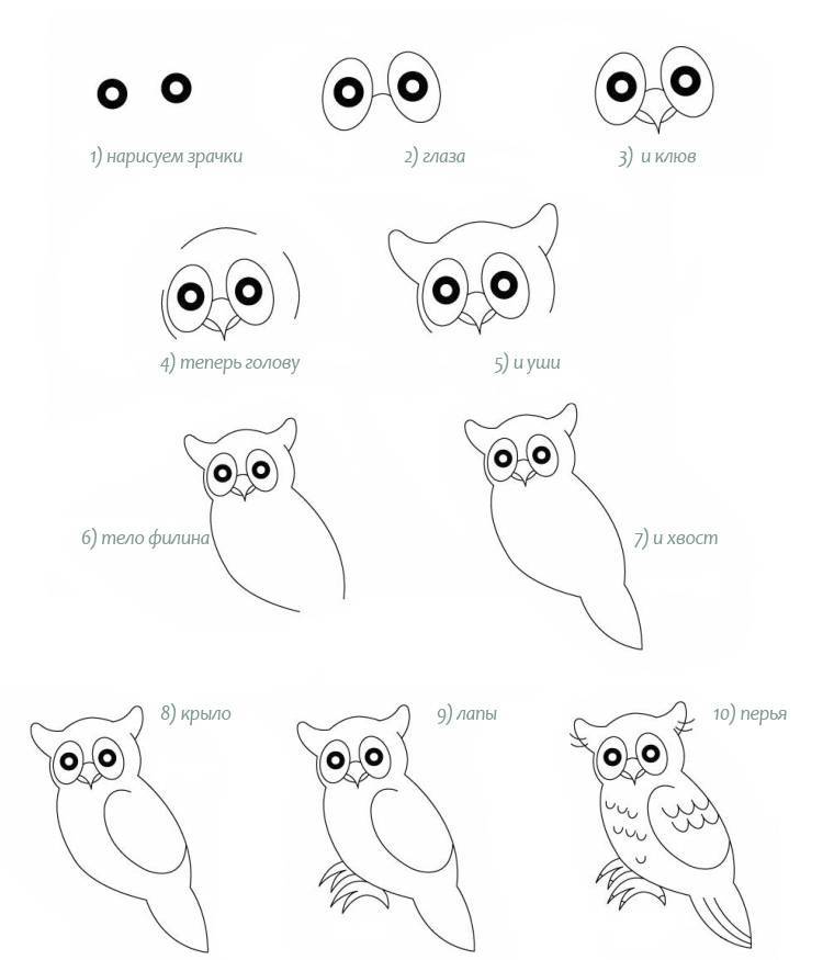 Как нарисовать сову  поэтапно 8 уроков