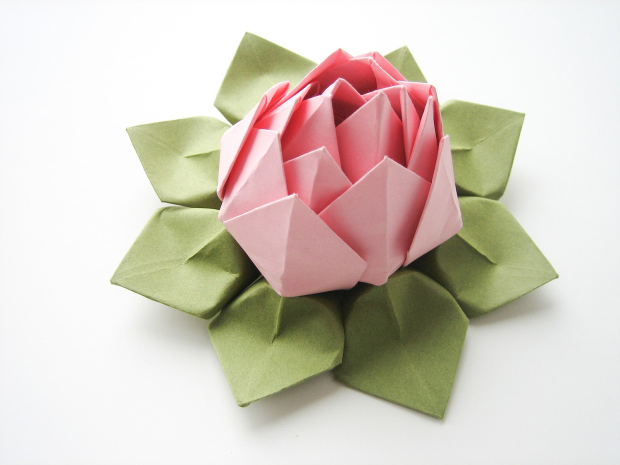 Цветок лотоса из бумаги в технике оригами (мастер-класс). воспитателям детских садов, школьным учителям и педагогам