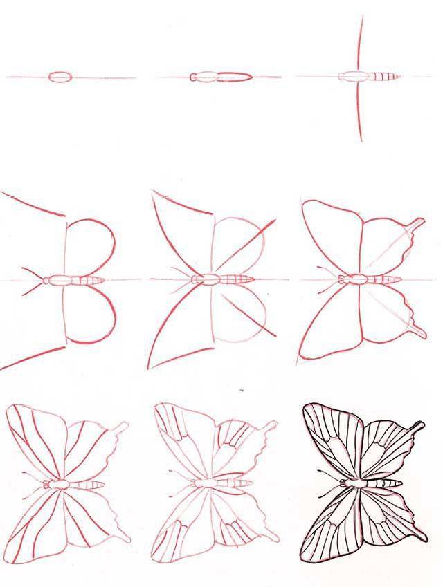 Как нарисовать бабочку карандашом легко: идеи, пошаговые советы — женские советы