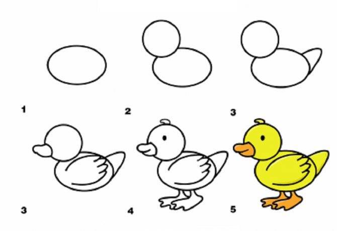Как нарисовать утку (с иллюстрациями) - wikihow