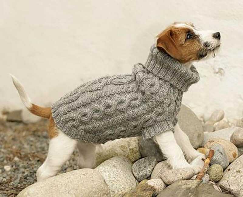 Вязание одежды для собак схема. схемы вязания для маленьких собак. как связать собаке свитер для начинающих спицами. вязание для собак схемы описание, комбинезон, костюм, шапка, спицами, крючком. схемы вязания для собак