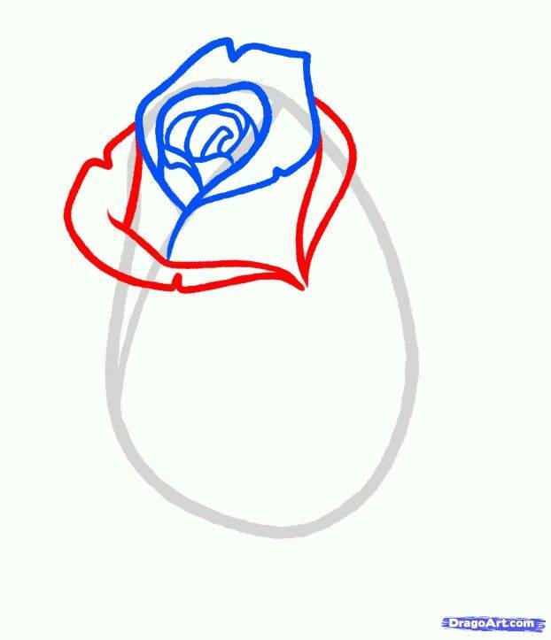 Как легко нарисовать розу поэтапно карандашом — красиво