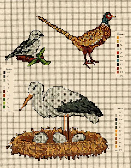 вышивка крестом птицы по схемам и видео обзор набора - умелица