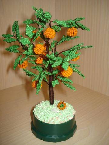 Апельсиновое дерево из бисера: схема плетения и мастер класс своими руками