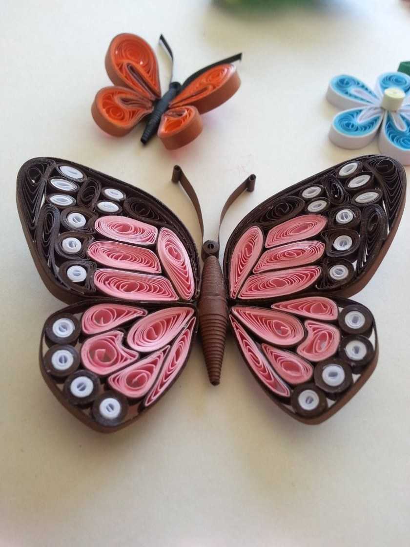 Квиллинг бабочка: поэтапный мастер-класс для начинающих, схемы