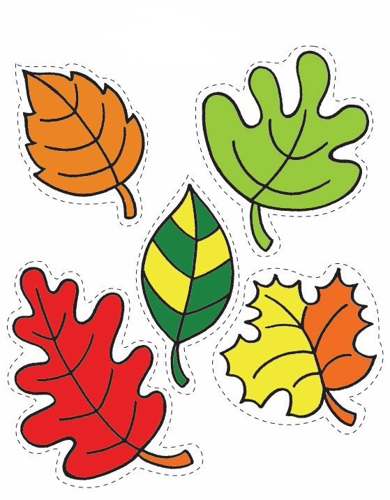 Звук листьев для детей. Трафареты осенних листьев. Листья шаблоны для вырезания цветные. Осенние листья трафареты для вырезания цветные. Аппликация с листьями.
