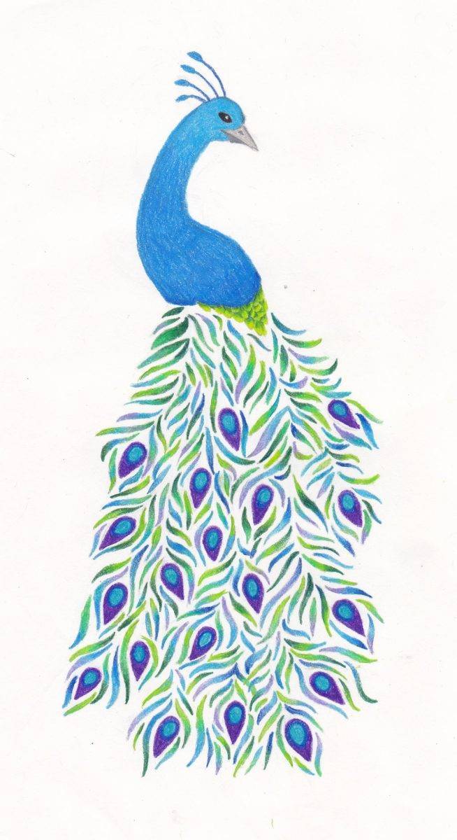 Как нарисовать орла карандашом: поэтапный мастер-класс создания красивого рисунка. учимся рисовать орла своими руками