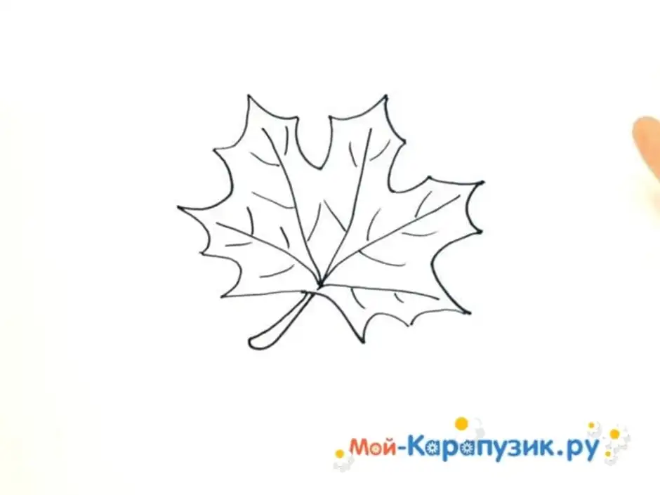 Рисуем листья шаг за шагом
... | envatomarket.ru | norma-studio.github.io