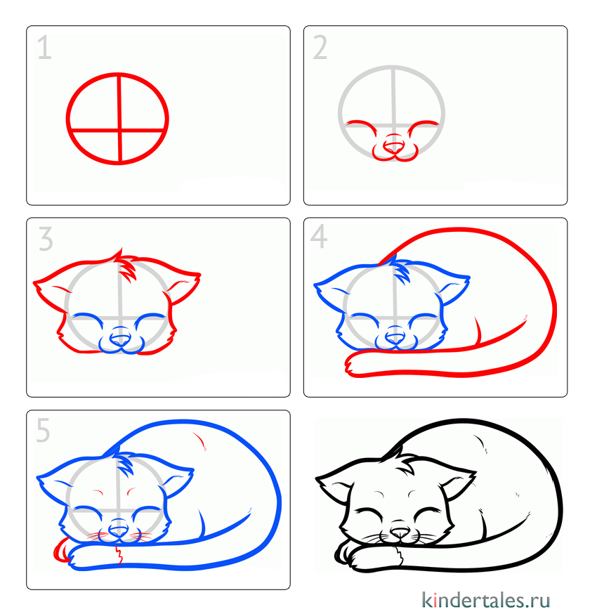 Как легко нарисовать кошку?
