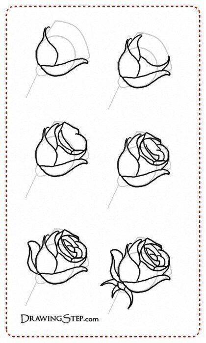 Как нарисовать розу карандашом поэтапно для начинающих? розы: рисунок карандашом