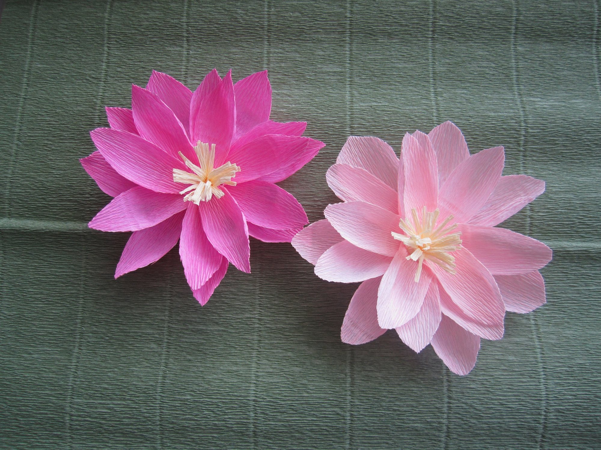 Цветок лотоса своими руками из бумаги: создаем настроение самостоятельно