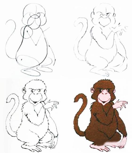 Как нарисовать обезьяну: красивый рисунок карандашом