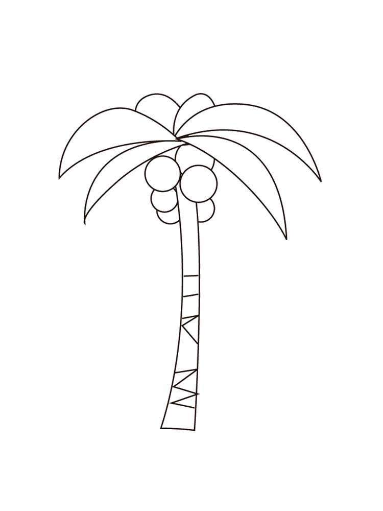 Как нарисовать пальму карандашом поэтапно?  - досуг и развлечения - вопросы и ответы