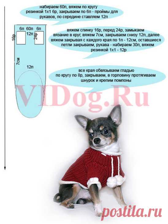 Как связать свитер собаке: инструкция для начинающих все о домашних питомцах: породы и виды, уход, болезни
301 moved permanently