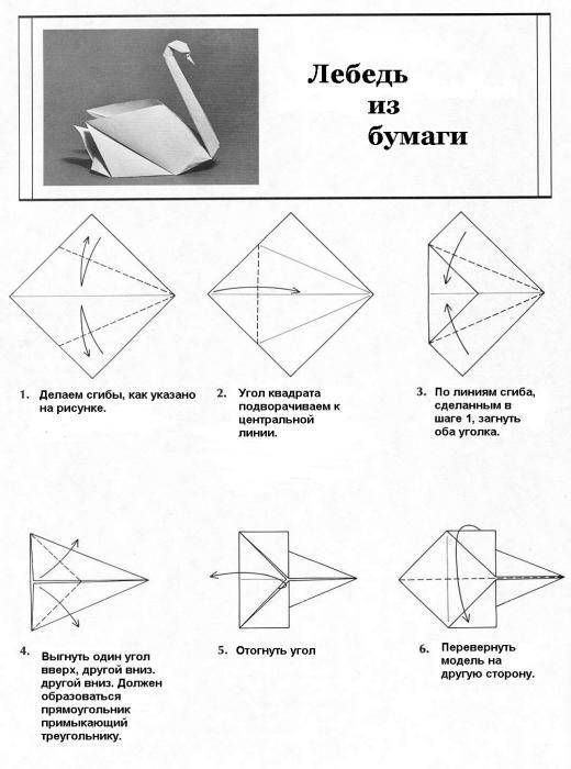 Пошаговая инструкция для начинающих как сделать оригами лебедь из бумаги по модулям, виды моделей