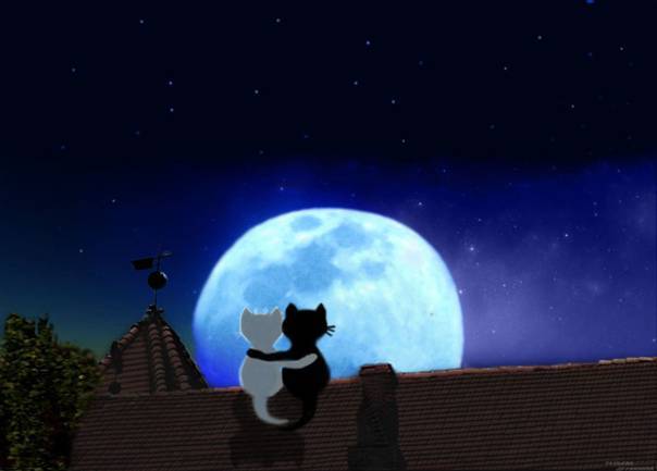 Схема вышивки крестом Влюблённые коты на крыше на фоне луны