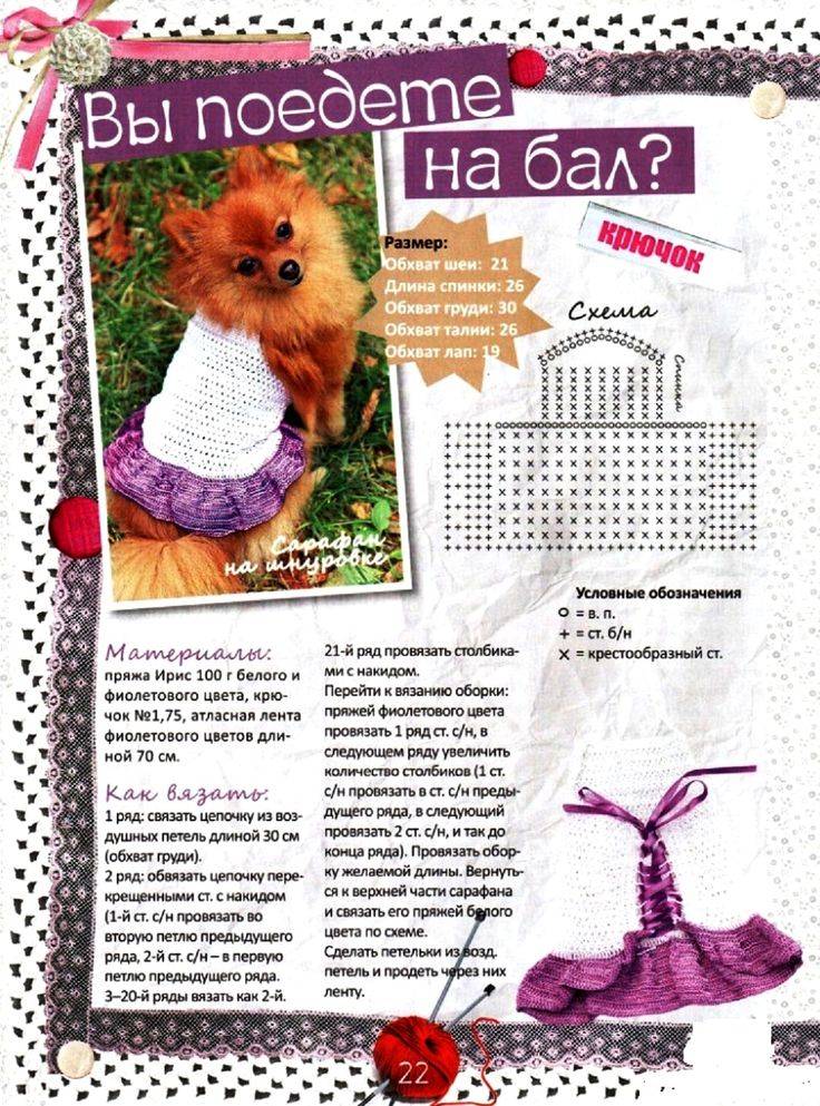 Как вязать свитер для собаки. пошаговая инструкция