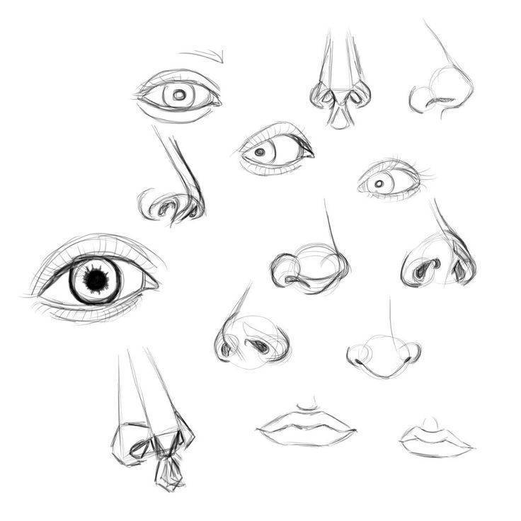 Как нарисовать нос: учимся рисовать нос в анфас и профиль карандашом. легкий урок с советами от художника