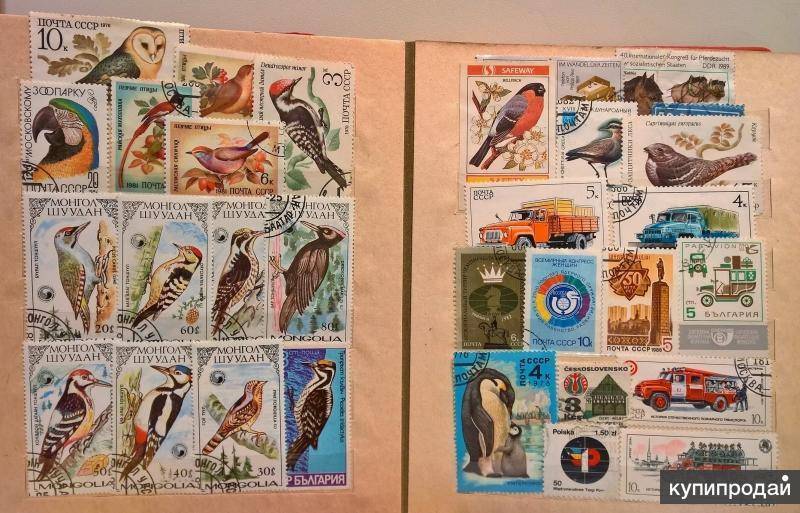 Особенности и правила коллекционирования марок