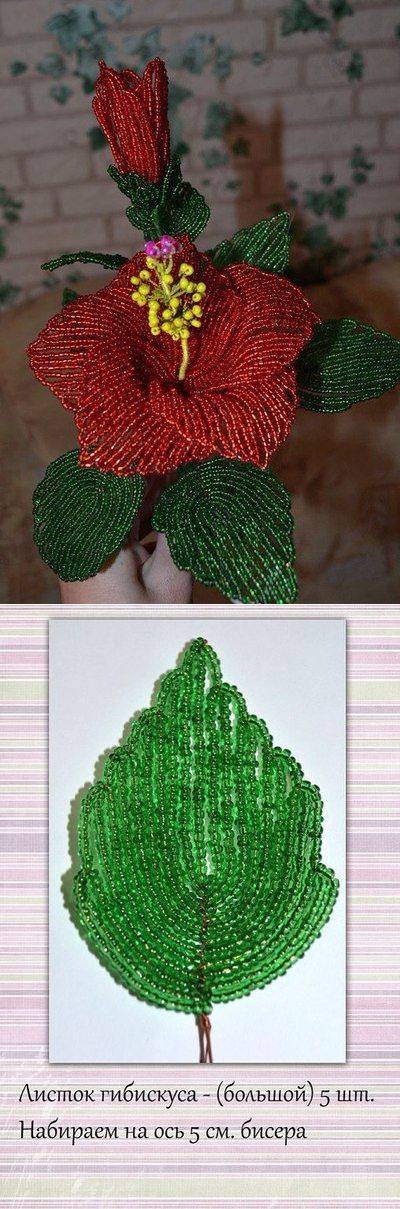 Куст гибискуса из бисера. гибискус из бисера мастер класс