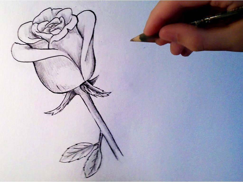 Срисовки простым карандашом — техника рисования, уроки и советы для начинающих от мастеров (135 фото)