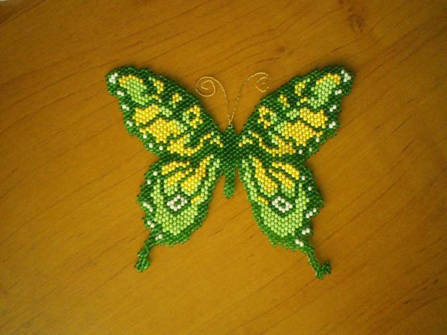 Бабочка из бисера: схема плетения для начинающих