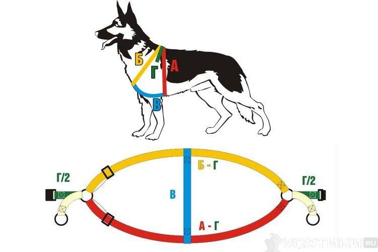 Шлейка для собак своими руками: подробное описание, как сделать