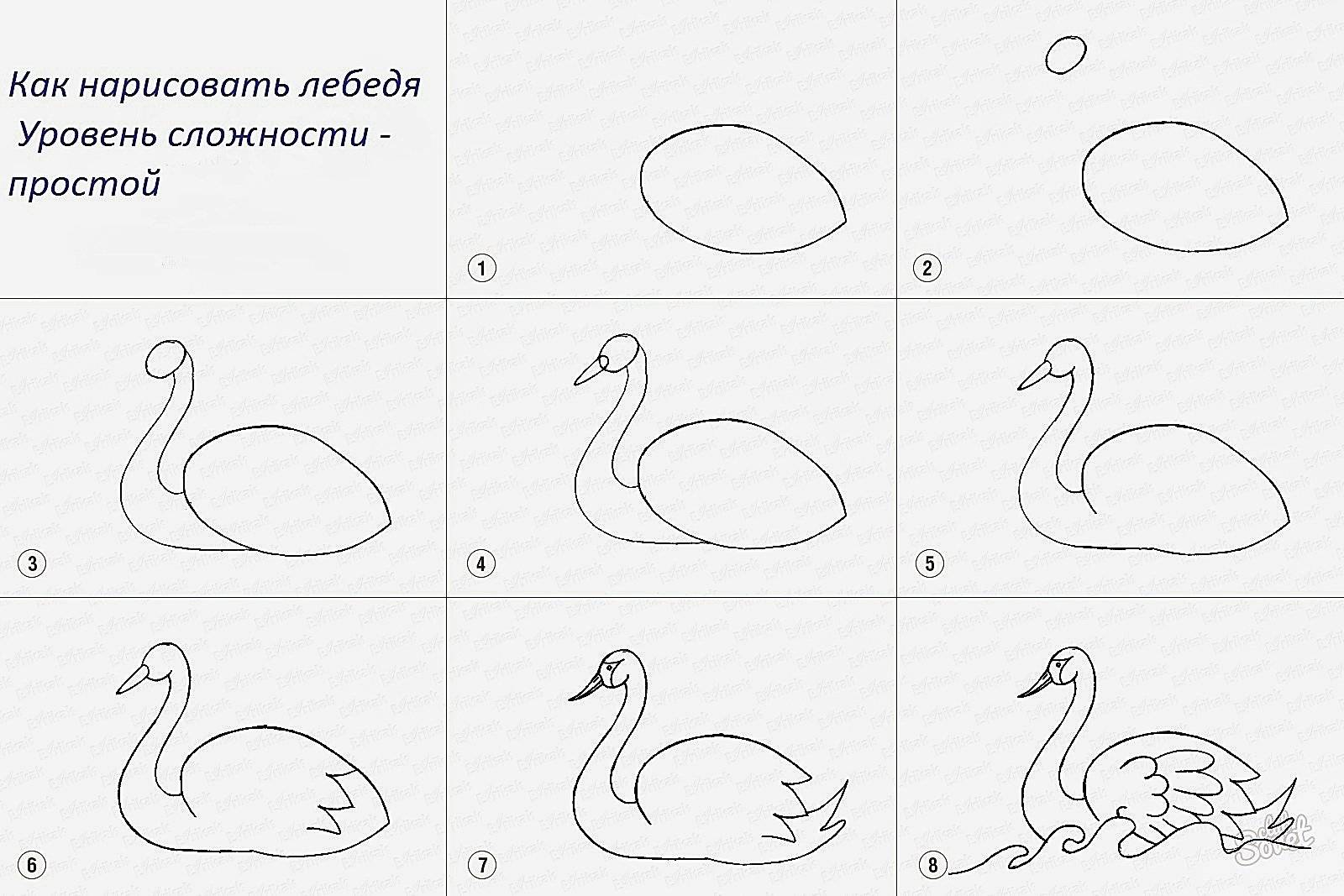 Как нарисовать лебедя карандашом для детей поэтапно