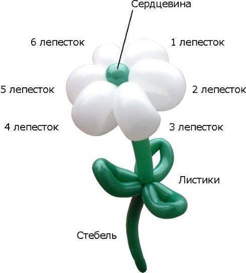 Цветы из шариков своими руками: пошаговая инструкция
