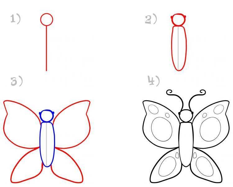 Как нарисовать бабочку поэтапно карандашом. топ вариантов для начинающих