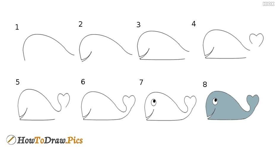 Как нарисовать кита поэтапно (64 фото) - легкие мастер-классы для начинающих