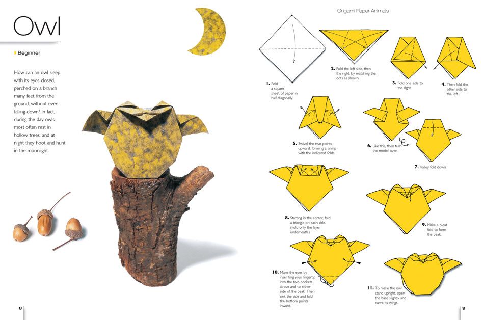 Оригами сова: сборка своими руками, подробная инструкция и разновидности, советы и рекомендации