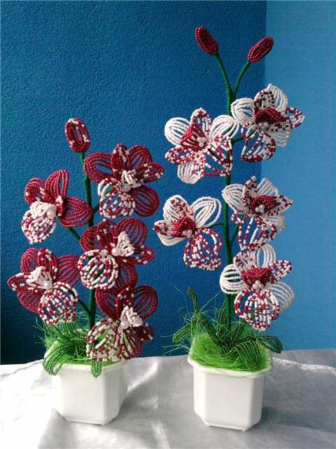 Орхидея из бисера: учимся делать цветок своими руками. схемы с фото, инструкцией и описанием плетения для начинающих